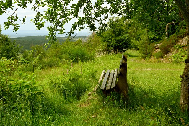 為人們關注 為人們關注