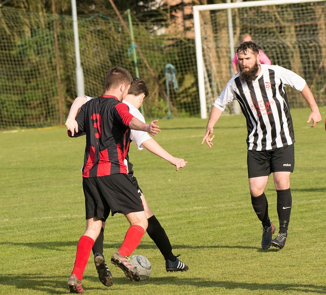 這個賽季的 這個賽季的