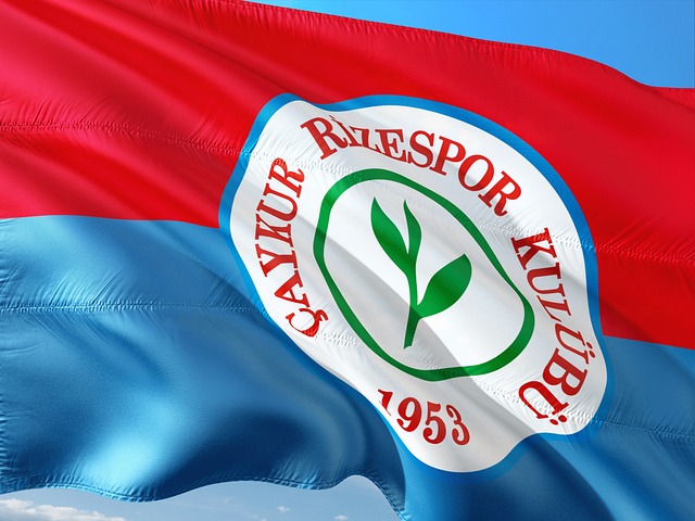 体现了动态 体现了动态