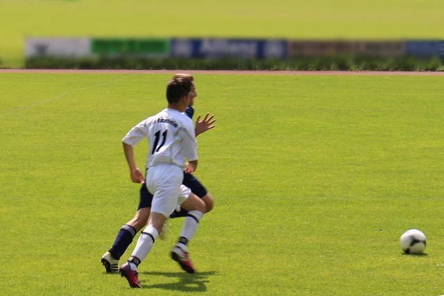 弗頓的調查 弗頓的調查