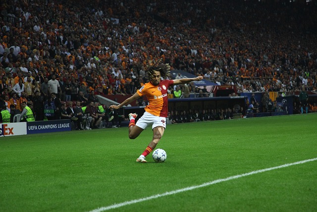 不仅是一种 不仅是一种