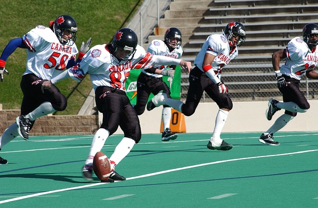 经验丰富的 经验丰富的