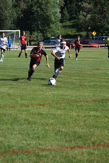 以及国家政 以及国家政