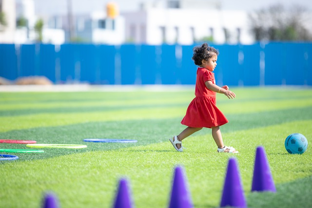 发展方向的 发展方向的