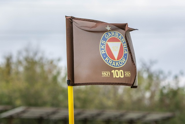 防守策略 防守策略